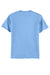 Hanes® - Authentic 100% Cotton T-Shirt.  5250 - iSignShop